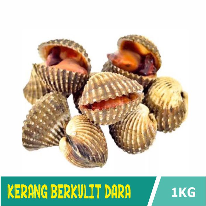 DARA KULIT