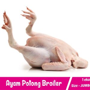 Ayam Broiler Size JUMBO