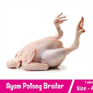 Ayam Broiler Size A