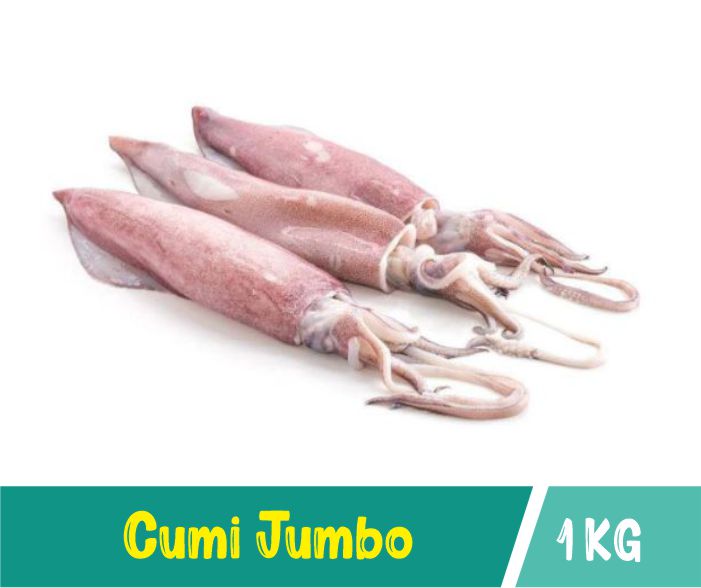 cumi jumbo