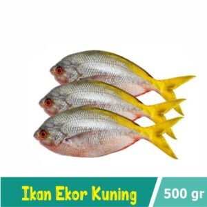 Ikan Ekor Kuning