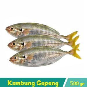 Ikan Kembung Gepeng