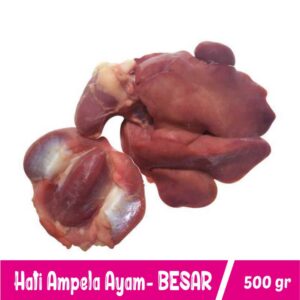 Hati Ampla Ayam Besar