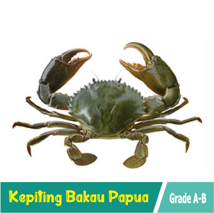kepiting