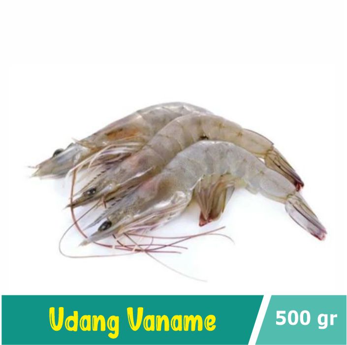 udang vaname
