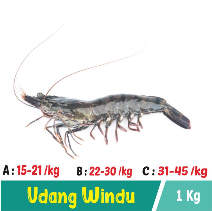 udang windu
