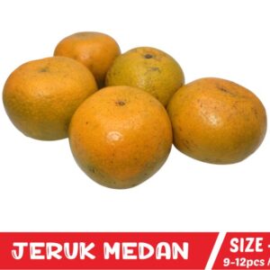 Jeruk Medan Size M