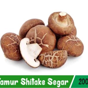 Jamur Shitake Segar
